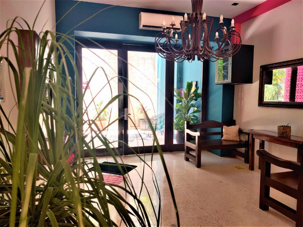 Hotel Mariachi By Kavia 5Th Av Playa del Carmen Buitenkant foto